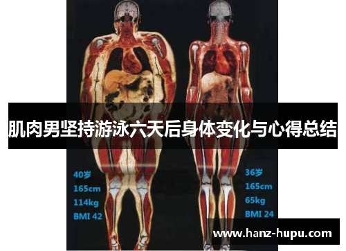 肌肉男坚持游泳六天后身体变化与心得总结