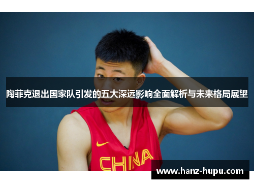 陶菲克退出国家队引发的五大深远影响全面解析与未来格局展望